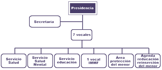 Organigrama general